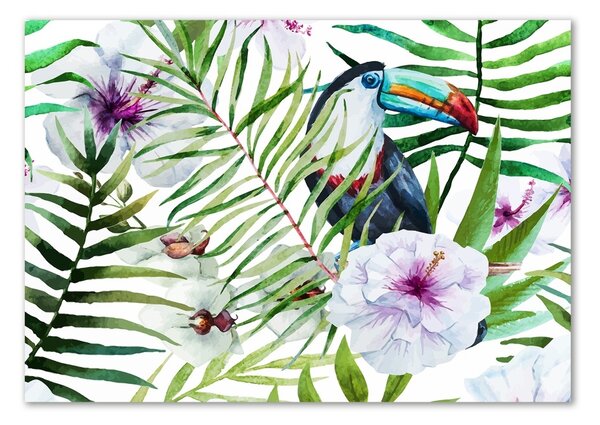 Tablou sticlă Toucan Tropika