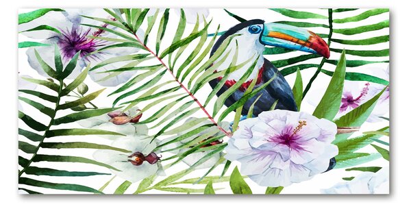 Tablou sticlă Toucan Tropika