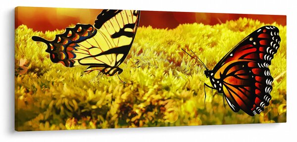 Tablou cu fluturi (120x50 cm)