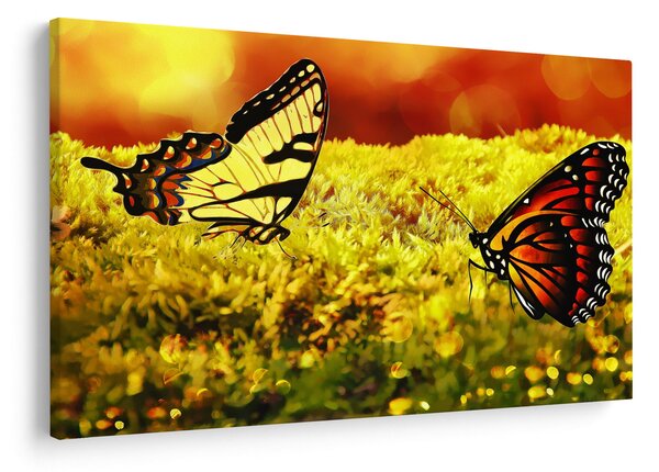 Tablou cu fluturi (90x60 cm)