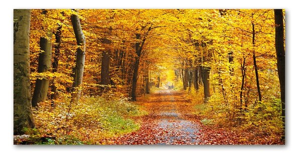 Tablou pe pe sticlă pădure în toamna