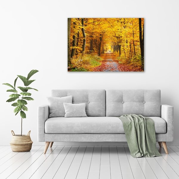 Tablou canvas pădure în toamna