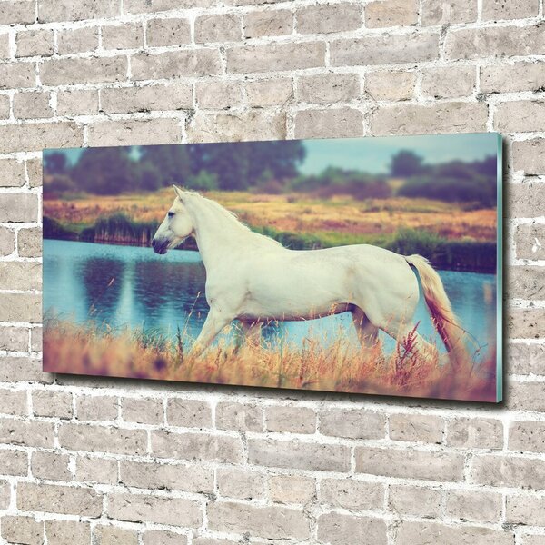 Imagine de sticlă White Lake Horse