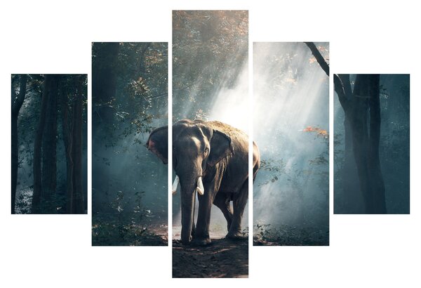 Tablou cu elefant în djunglă (150x105 cm)