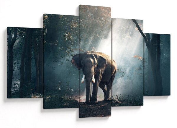 Tablou cu elefant în djunglă (150x105 cm)