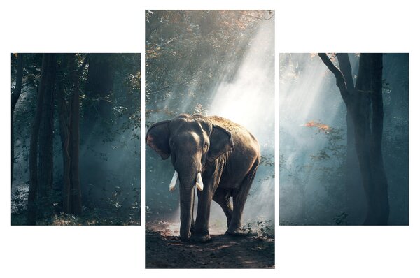 Tablou cu elefant în djunglă (90x60 cm)