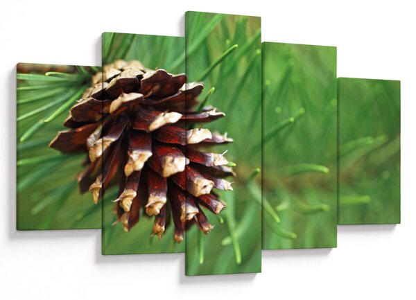 Tablou cu con (150x105 cm)