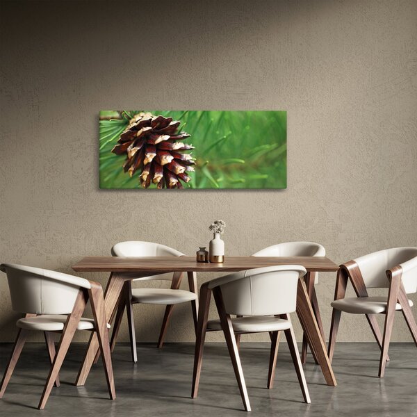 Tablou cu con (120x50 cm)