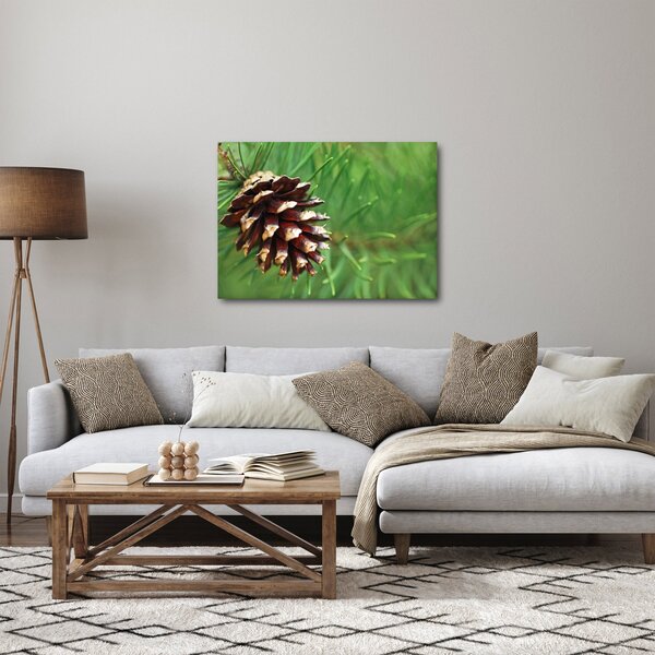 Tablou cu con (70x50 cm)