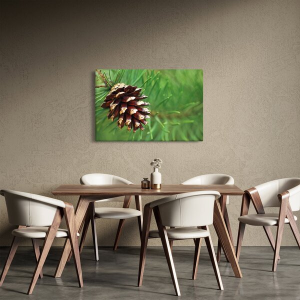 Tablou cu con (90x60 cm)