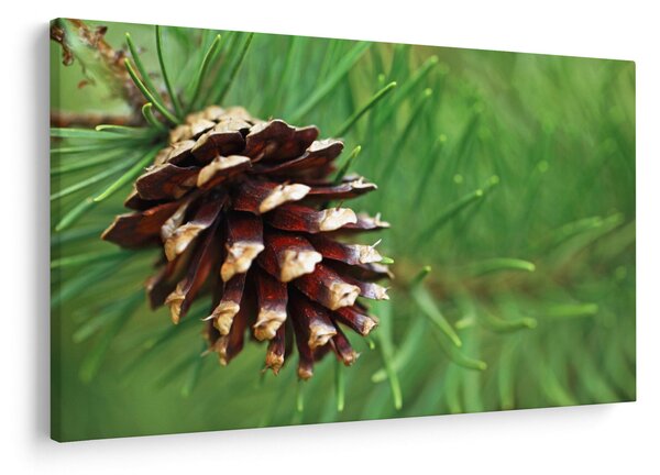 Tablou cu con (90x60 cm)