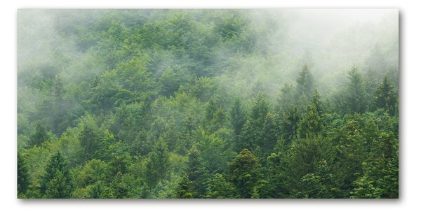 Fotografie imprimată pe sticlă pădure misterioasă