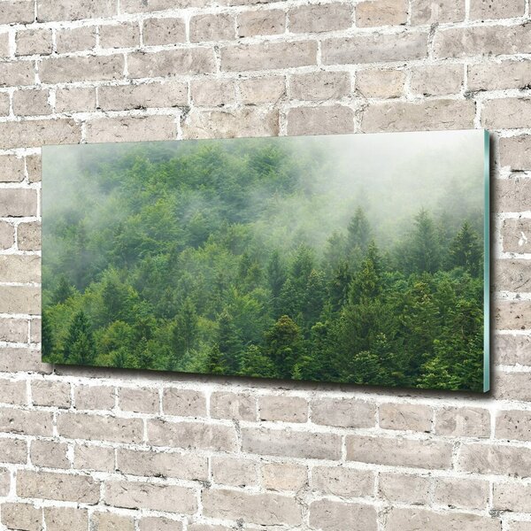 Fotografie imprimată pe sticlă pădure misterioasă