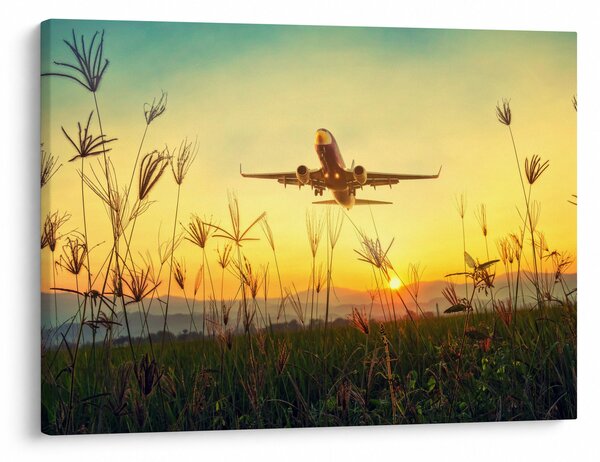 Tablou cu avionul ridicându-se spre zbor (70x50 cm)