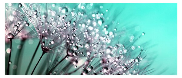 Tablou - planta cu rouă (120x50 cm)