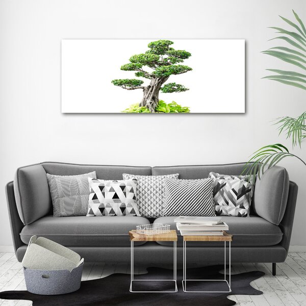 Tablou din Sticlă copac bonsai