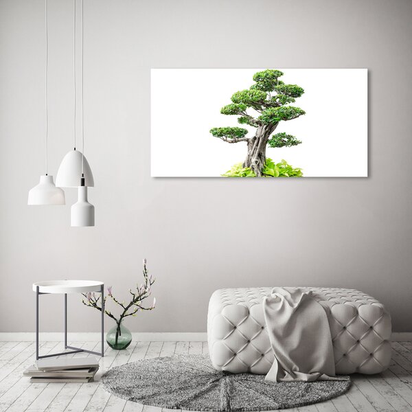 Tablou din Sticlă copac bonsai