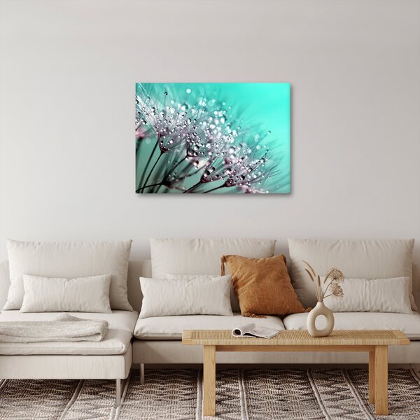 Tablou - planta cu rouă (70x50 cm)