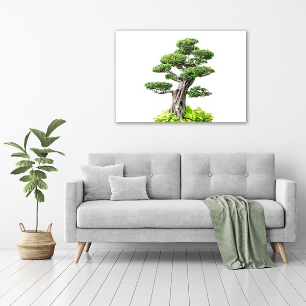 Tablou din Sticlă copac bonsai
