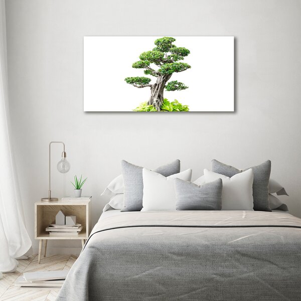 Tablou din Sticlă copac bonsai