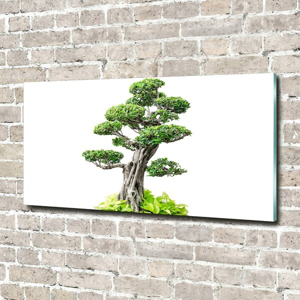 Tablou din Sticlă copac bonsai