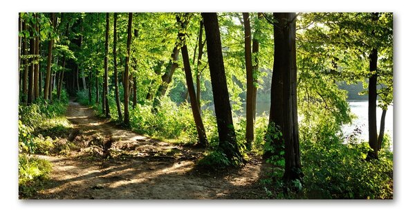 Fotografie imprimată pe sticlă Calea în lunca