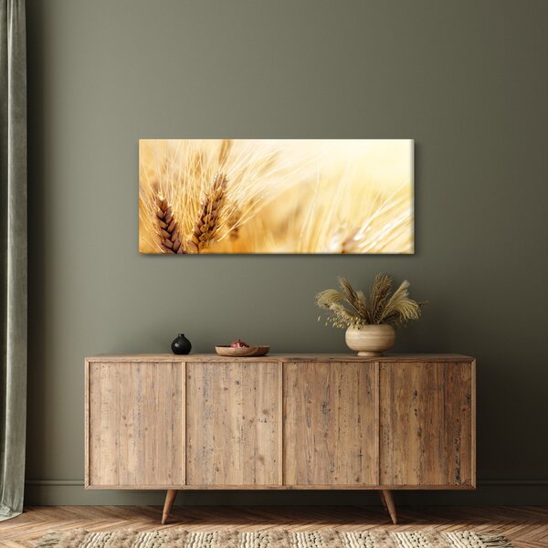 Tablou - detaliu cu (120x50 cm)