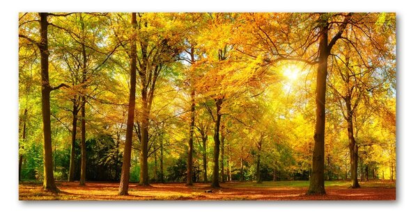 Tablou pe pe sticlă pădure în toamna