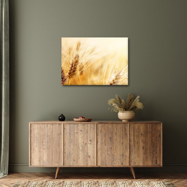 Tablou - detaliu cu (70x50 cm)