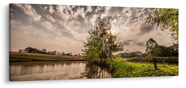 Tablou naturii cu raze de soae (120x50 cm)