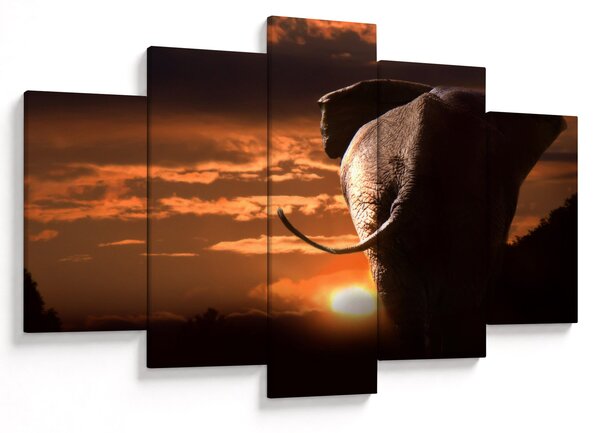 Tablou cu elefant (150x105 cm)