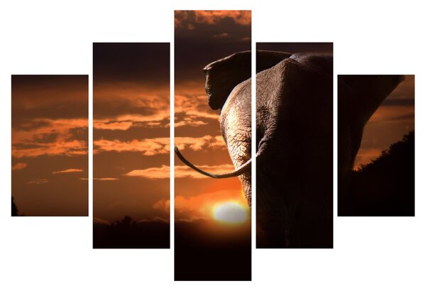 Tablou cu elefant (150x105 cm)