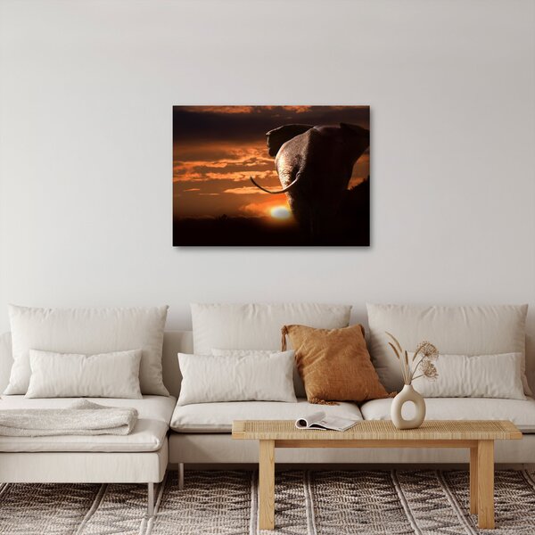 Tablou cu elefant (70x50 cm)