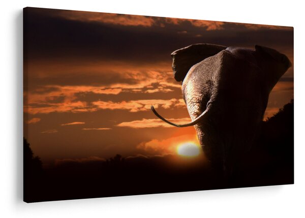 Tablou cu elefant (90x60 cm)