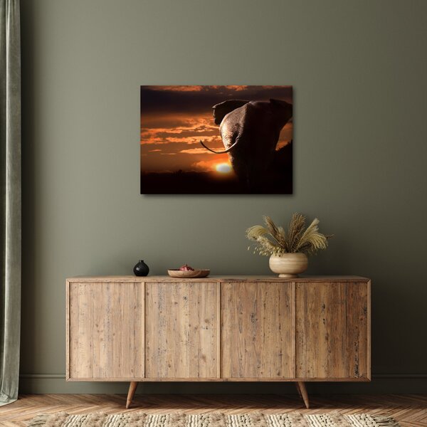 Tablou cu elefant (70x50 cm)