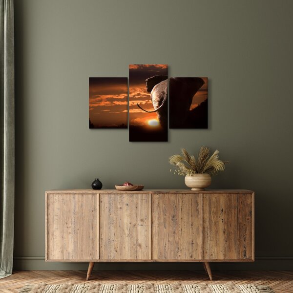 Tablou cu elefant (90x60 cm)