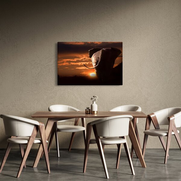 Tablou cu elefant (90x60 cm)