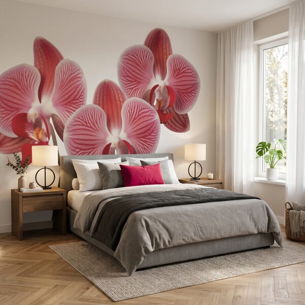 Fototapet Flori pline de viață, în nuanțe delicate de roz, Fototapet flori, Fototapet populare, t00704 - Tapeko.ro