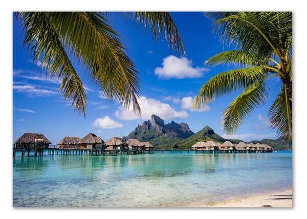 Fotografie imprimată pe sticlă Palmieri pe Bora Bora