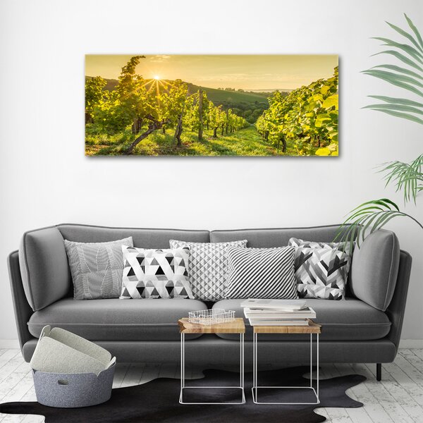 Print pe canvas Vie