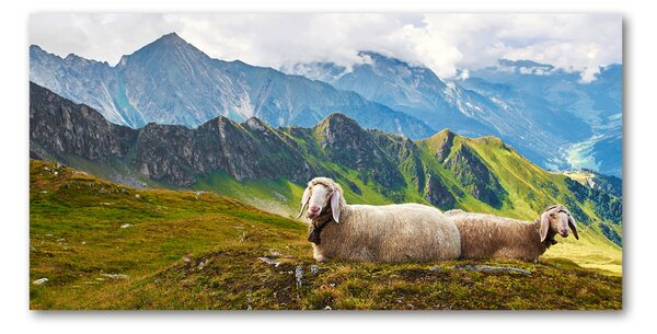 Tablou pe pe sticlă Oile în Alpi