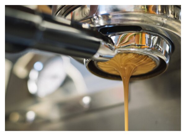 Tablou - espresso (70x50 cm)