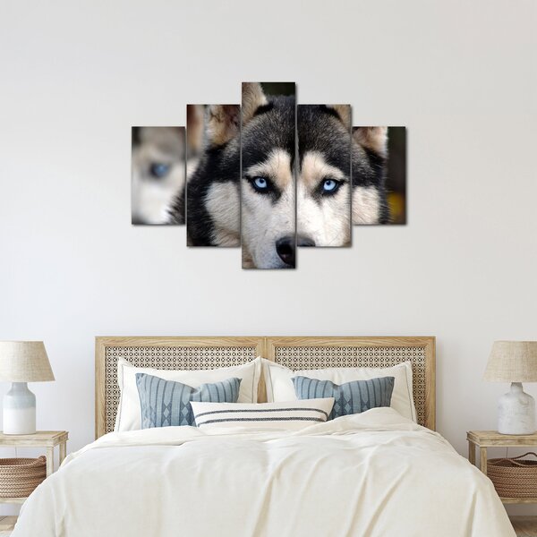 Tablou cu câinele husky (150x105 cm)