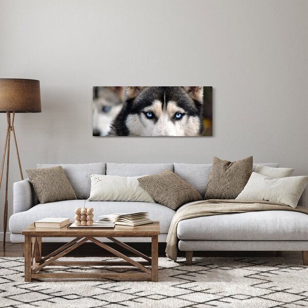 Tablou cu câinele husky (120x50 cm)
