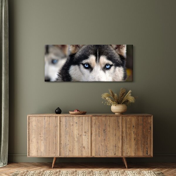 Tablou cu câinele husky (120x50 cm)