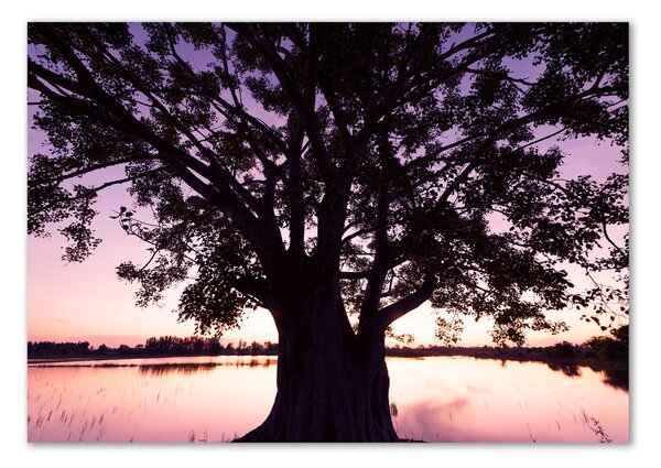 Fotografie imprimată pe sticlă Copac și Lacul