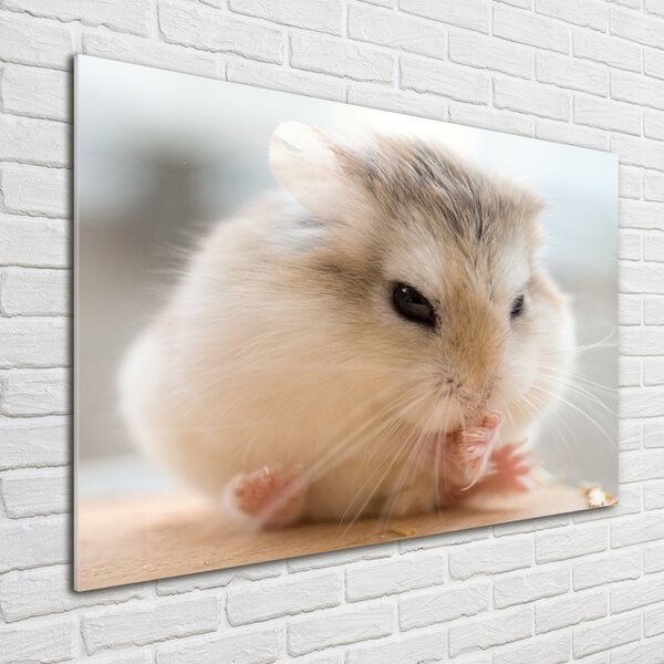 Tablou sticlă Hamster