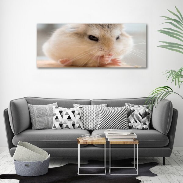 Tablou sticlă Hamster