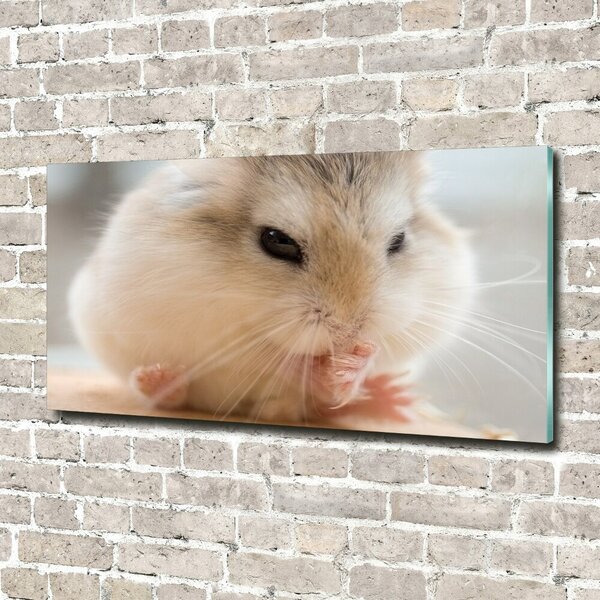 Tablou sticlă Hamster