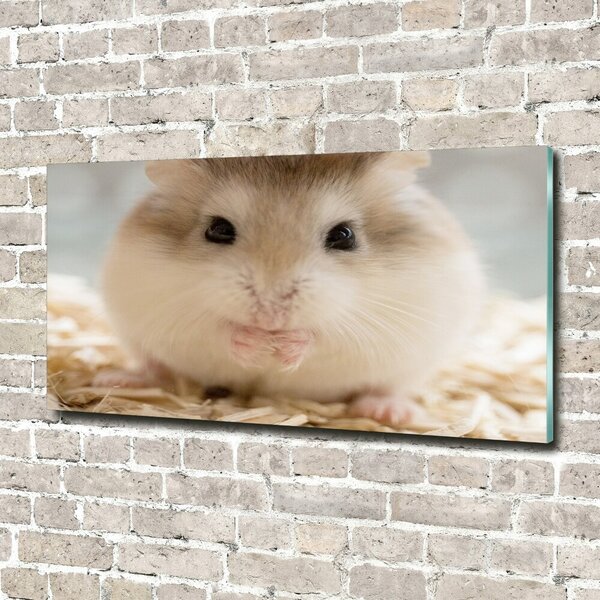 Imagine de sticlă Hamster